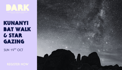 DARK | kunanyi Bat Walk & Star Gazing