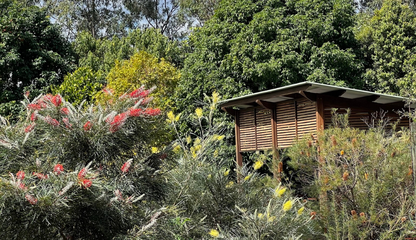FESTIVAL: Mt Coot-tha walk and Botanical Gardens Tour