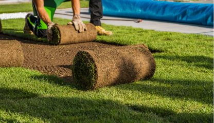 WEBINAR: Correct Turfgrass Specification with Lawn Solutions Australia
