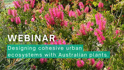 Designing Urban Ecosystems with Australian Plants