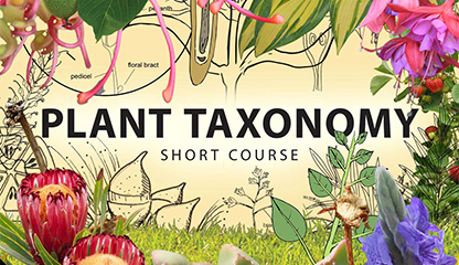 Featured CPD: Plant Taxonomy