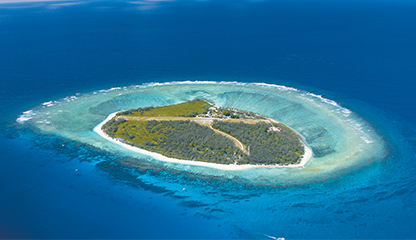 Win a Lady Elliot Island Getaway: cast your vote